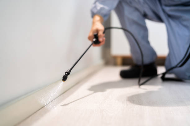Certified termite inspector examining foundation in Kennewick